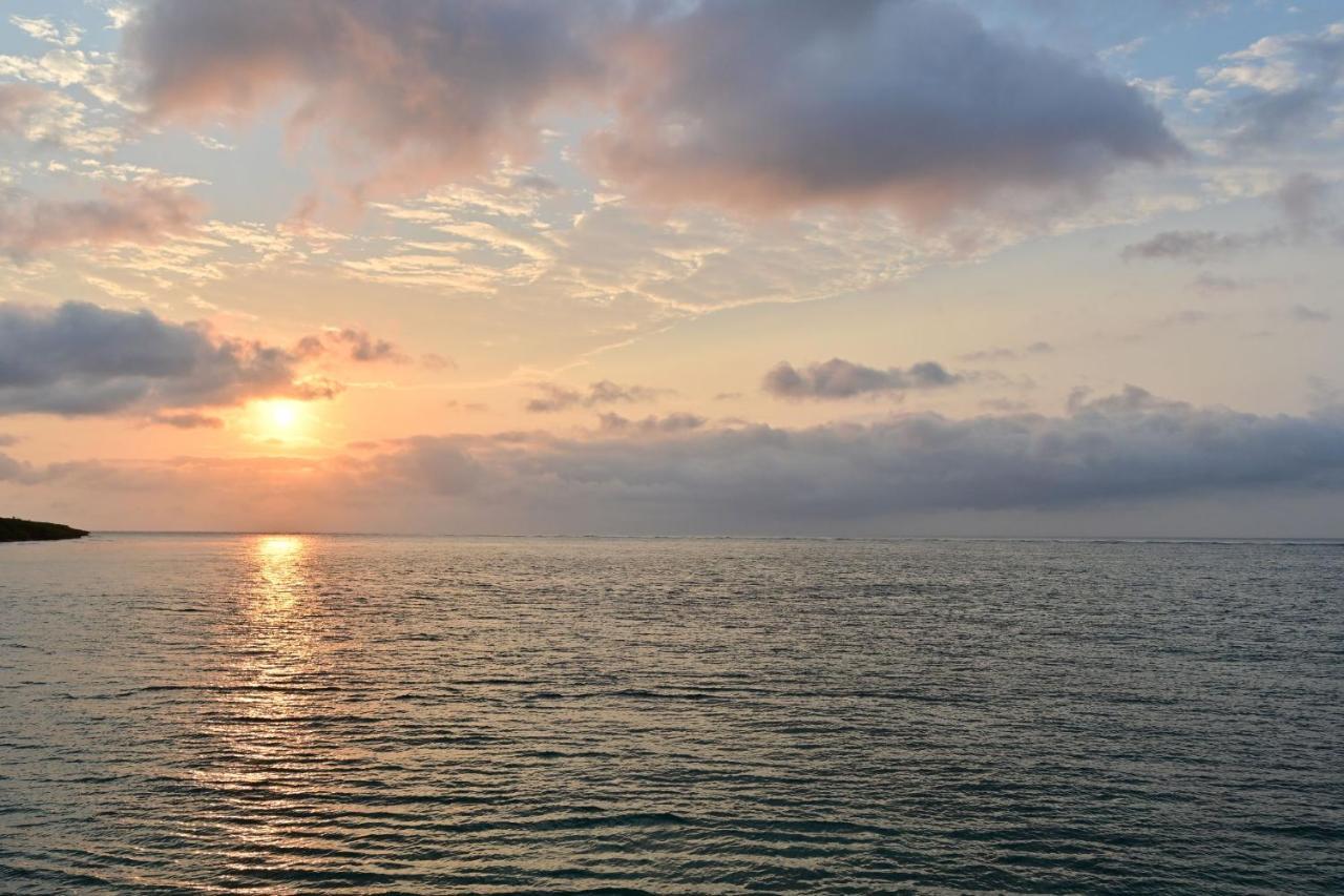Daily & Weekly Condominium Blue Ocean Ishigaki Ishigaki  المظهر الخارجي الصورة